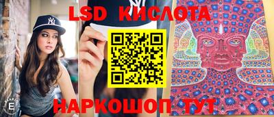 spice Будённовск